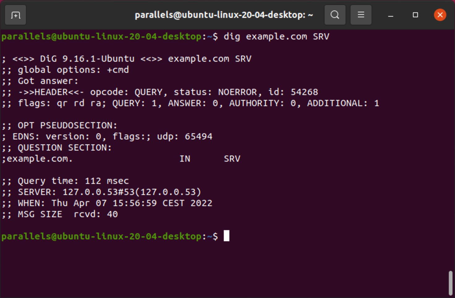 SRV lookup in Linux